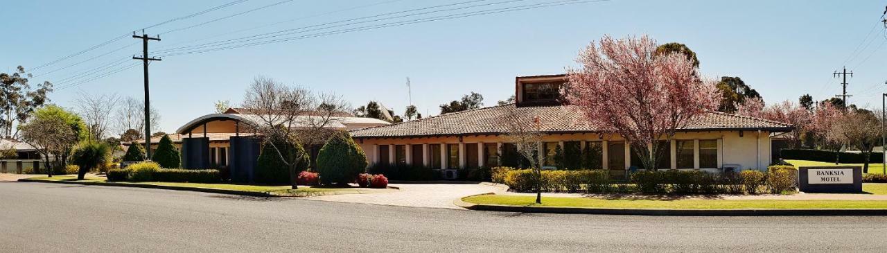 Banksia Motel Collie Exteriör bild